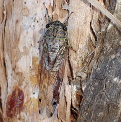 PC261218a.jpg
